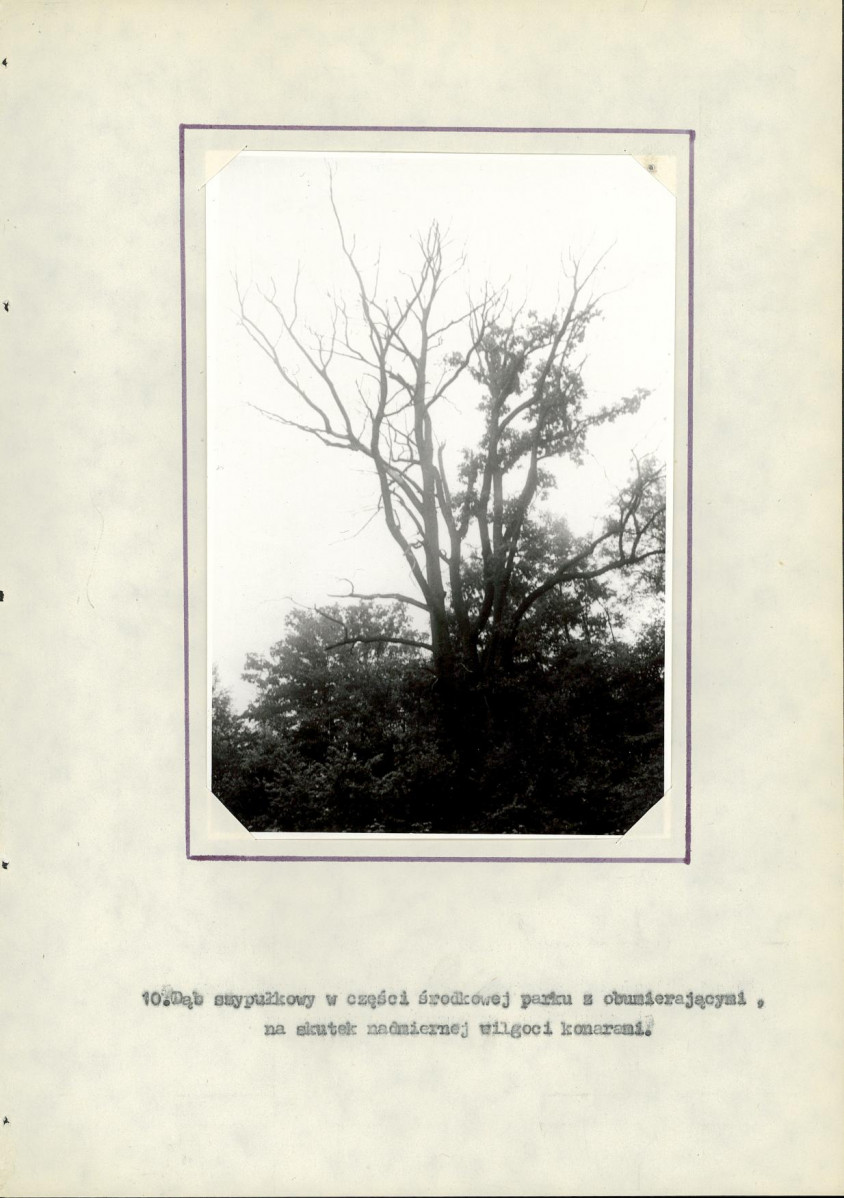 Ewidencja parkowa, skan nr 24