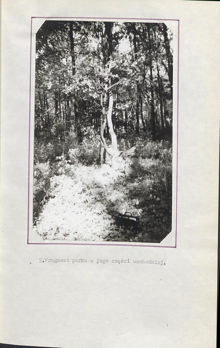 Ewidencja parkowa, skan nr 22