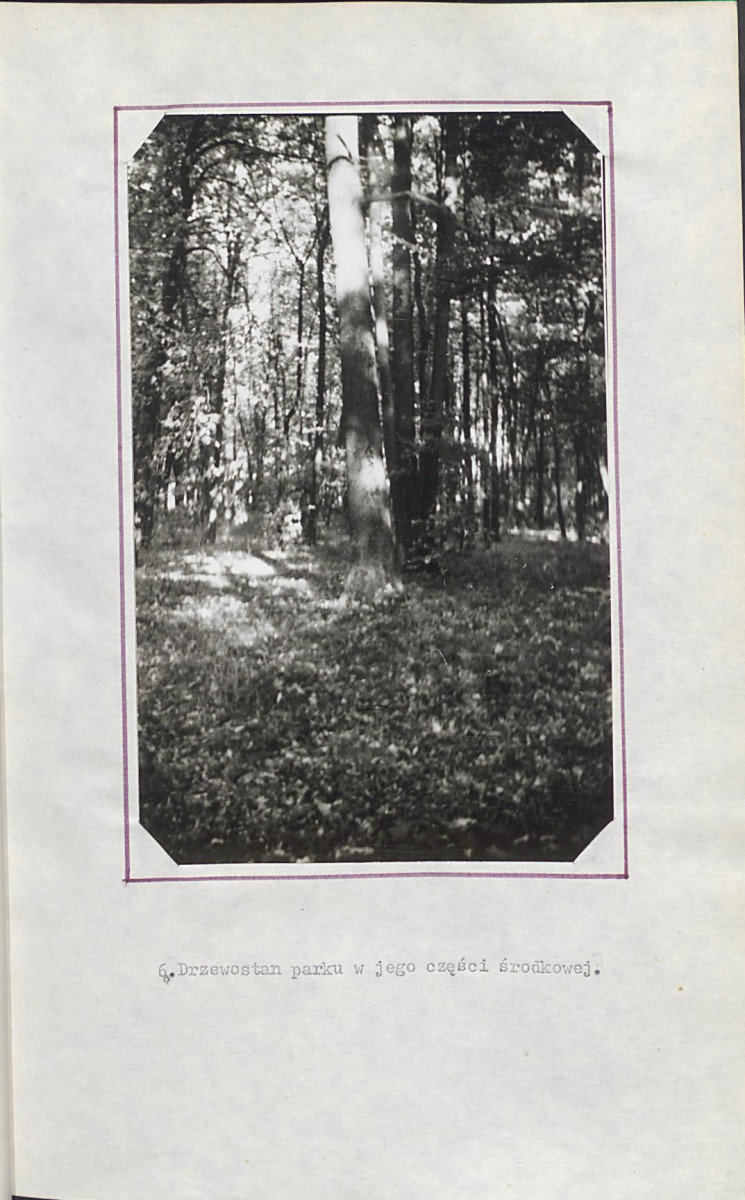 Ewidencja parkowa, skan nr 23