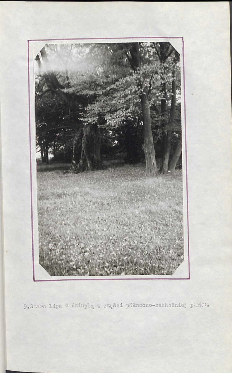 Ewidencja parkowa, skan nr 26