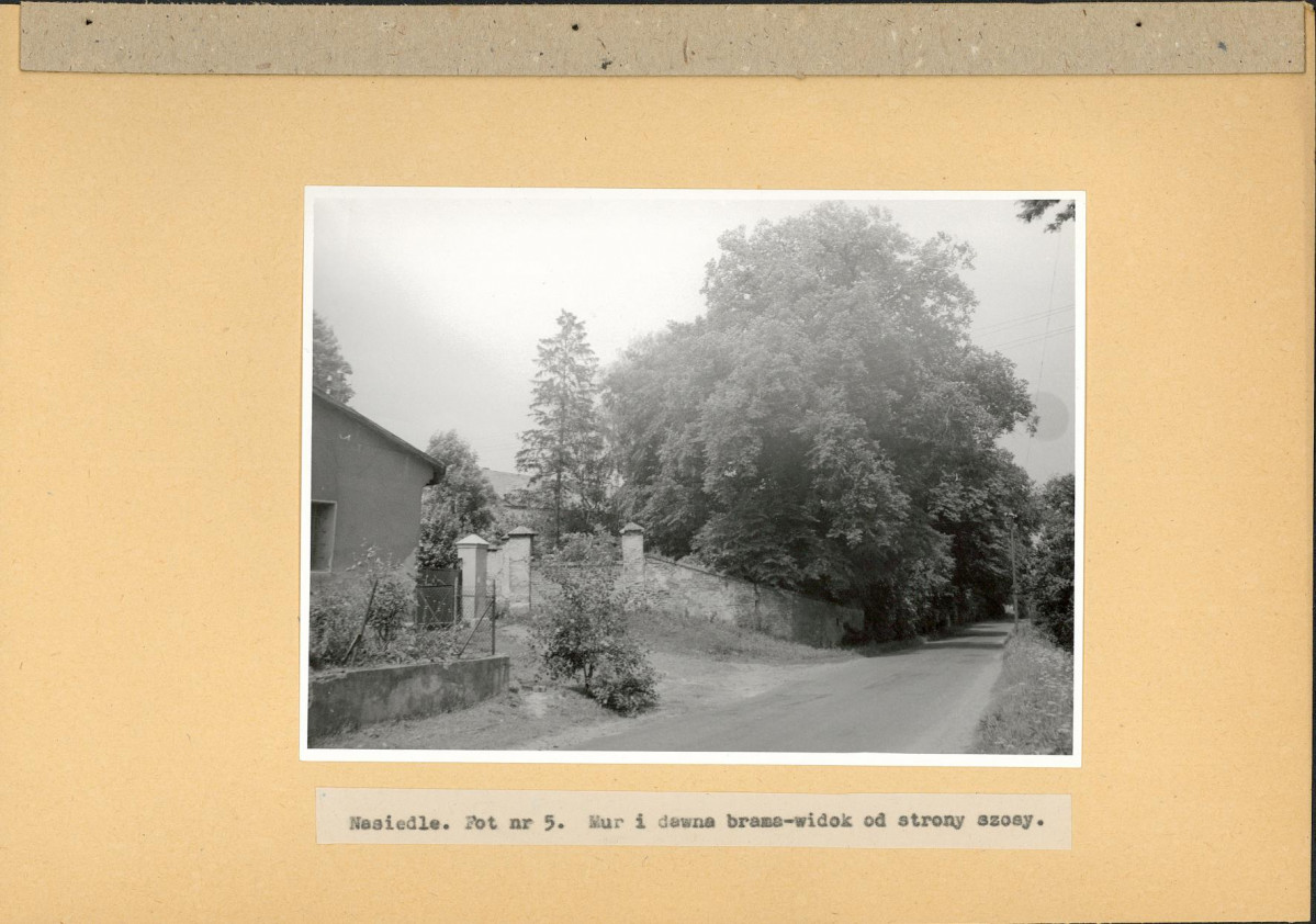 Ewidencja parkowa, skan nr 22