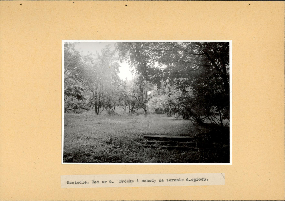 Ewidencja parkowa, skan nr 23