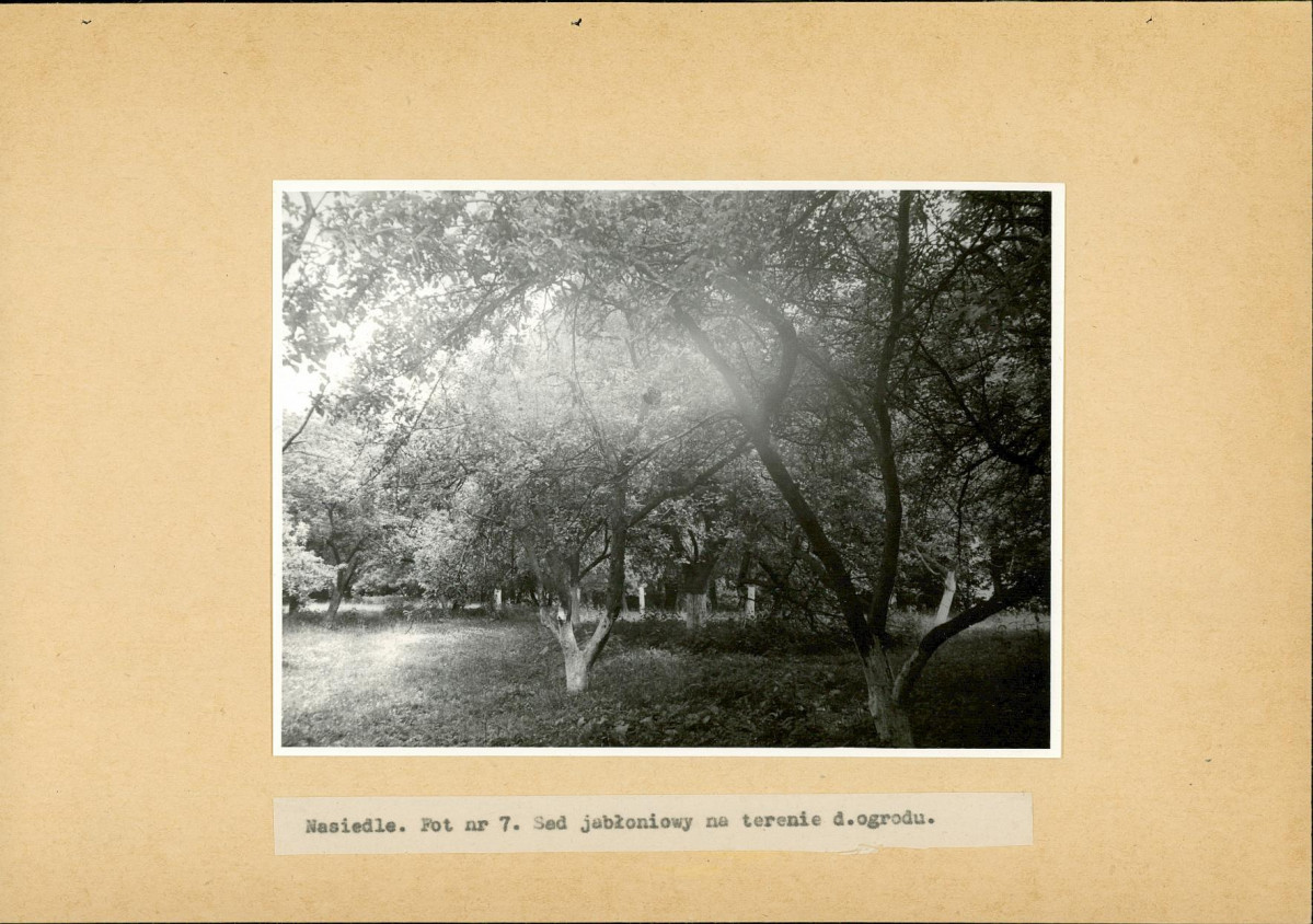 Ewidencja parkowa, skan nr 24