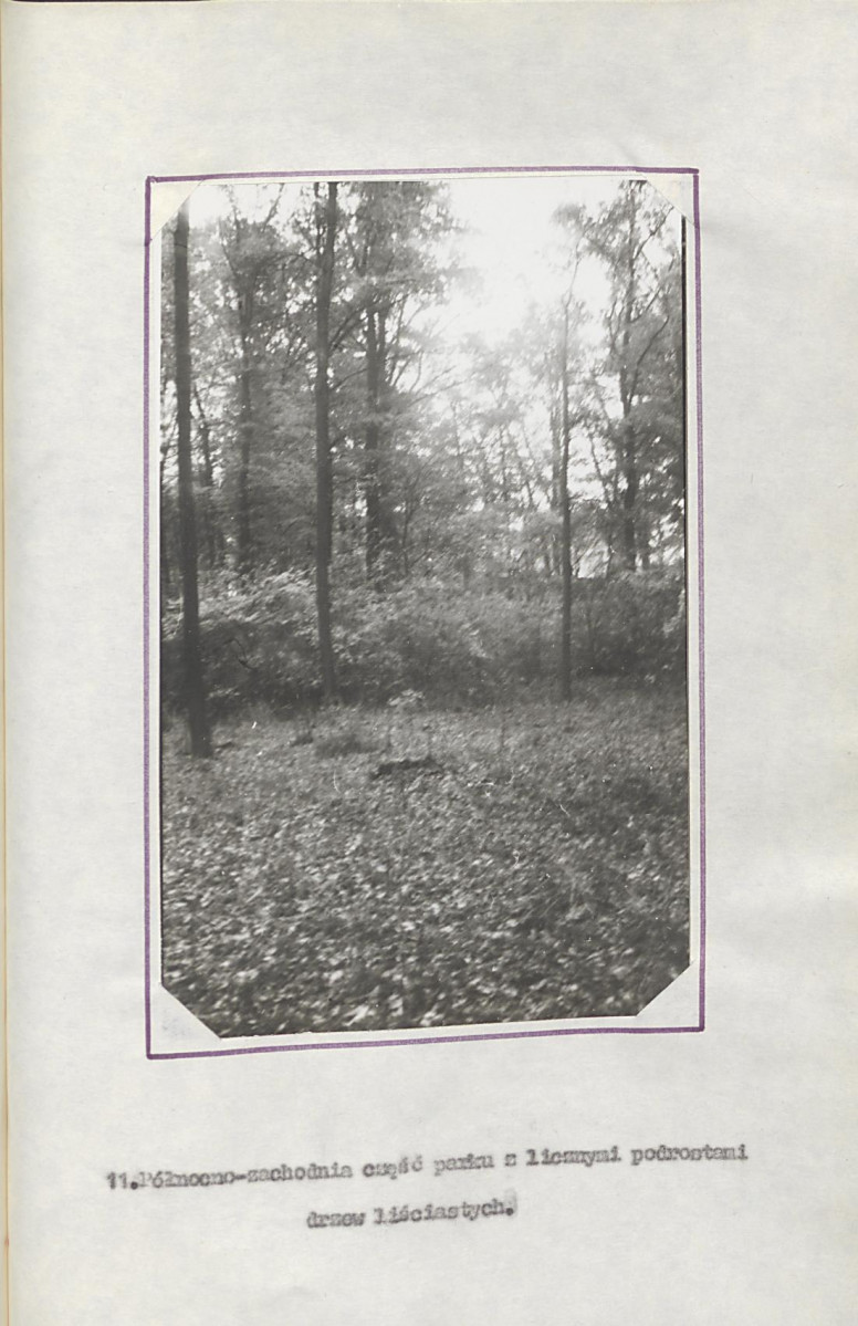 EP - Ewidencja parkowa, skan nr 29