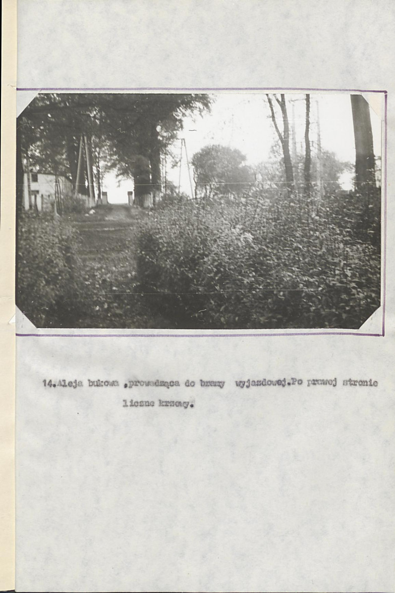 EP - Ewidencja parkowa, skan nr 32