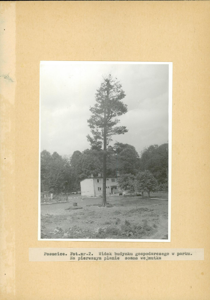 Ewidencja parkowa, skan nr 19