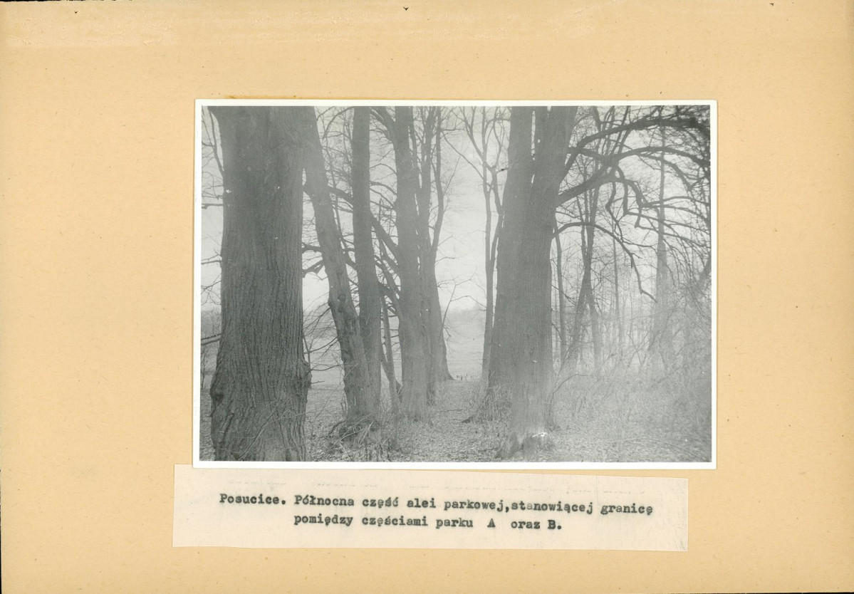 Ewidencja parkowa, skan nr 22