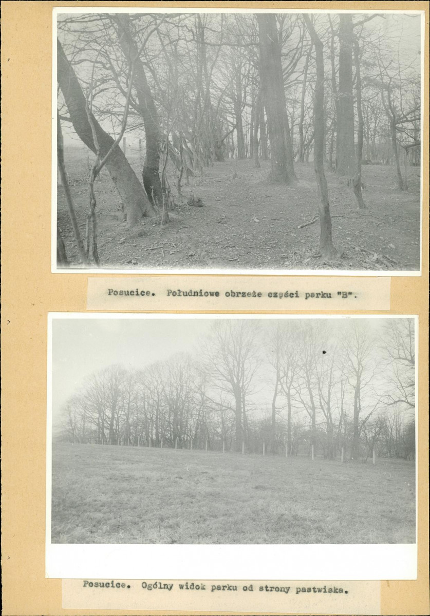 Ewidencja parkowa, skan nr 24