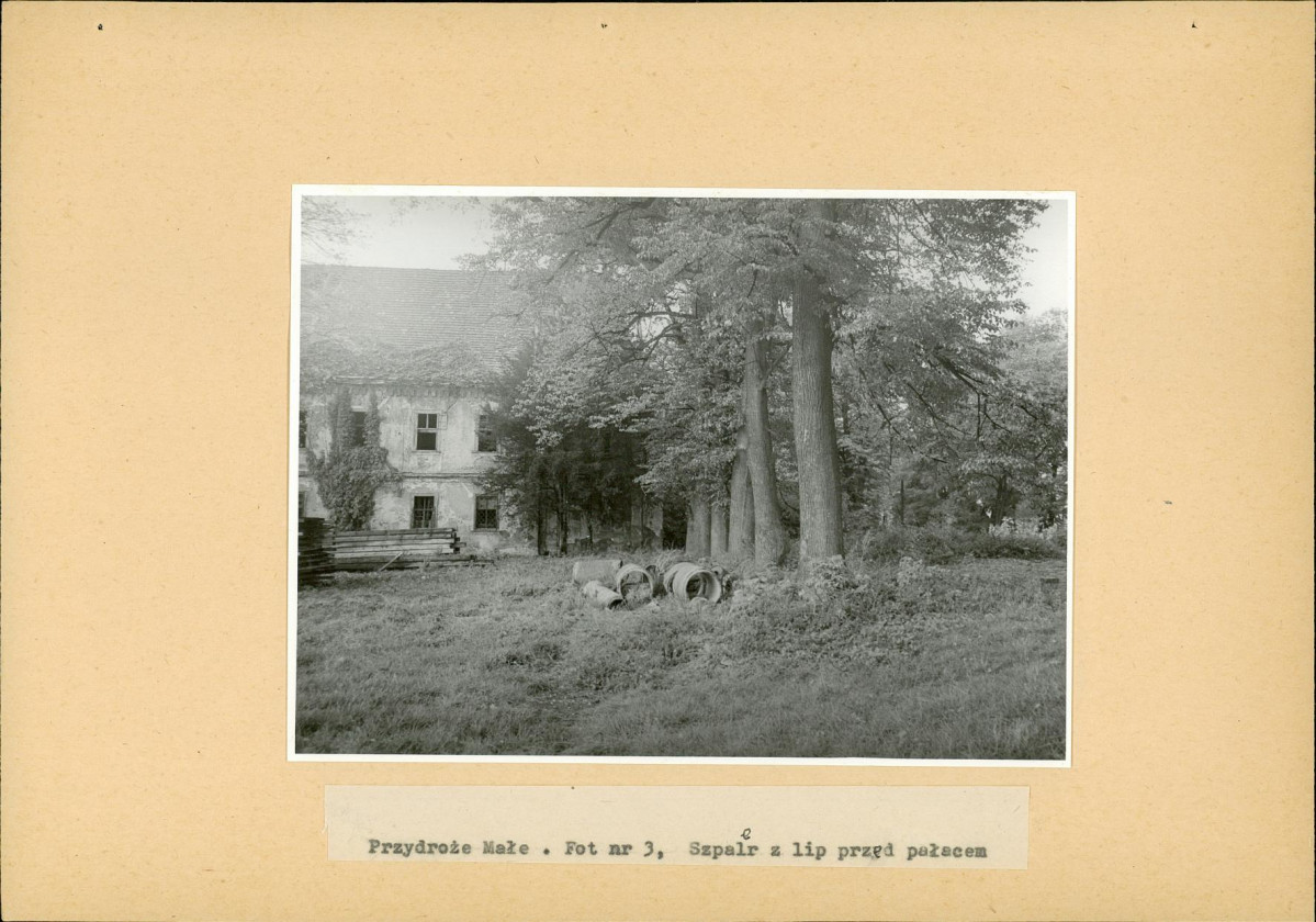 EP - Ewidencja parkowa, skan nr 19