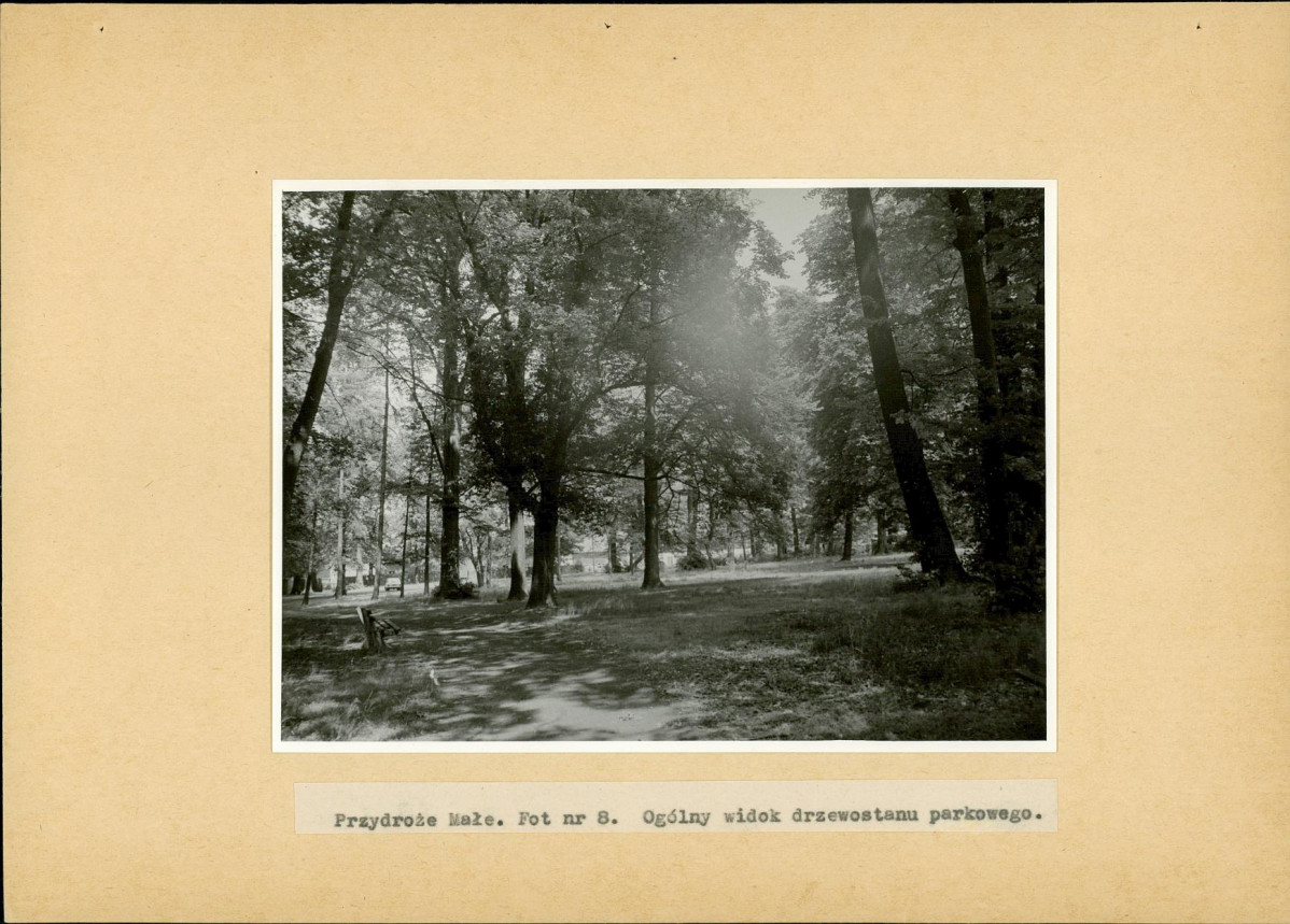 EP - Ewidencja parkowa, skan nr 24
