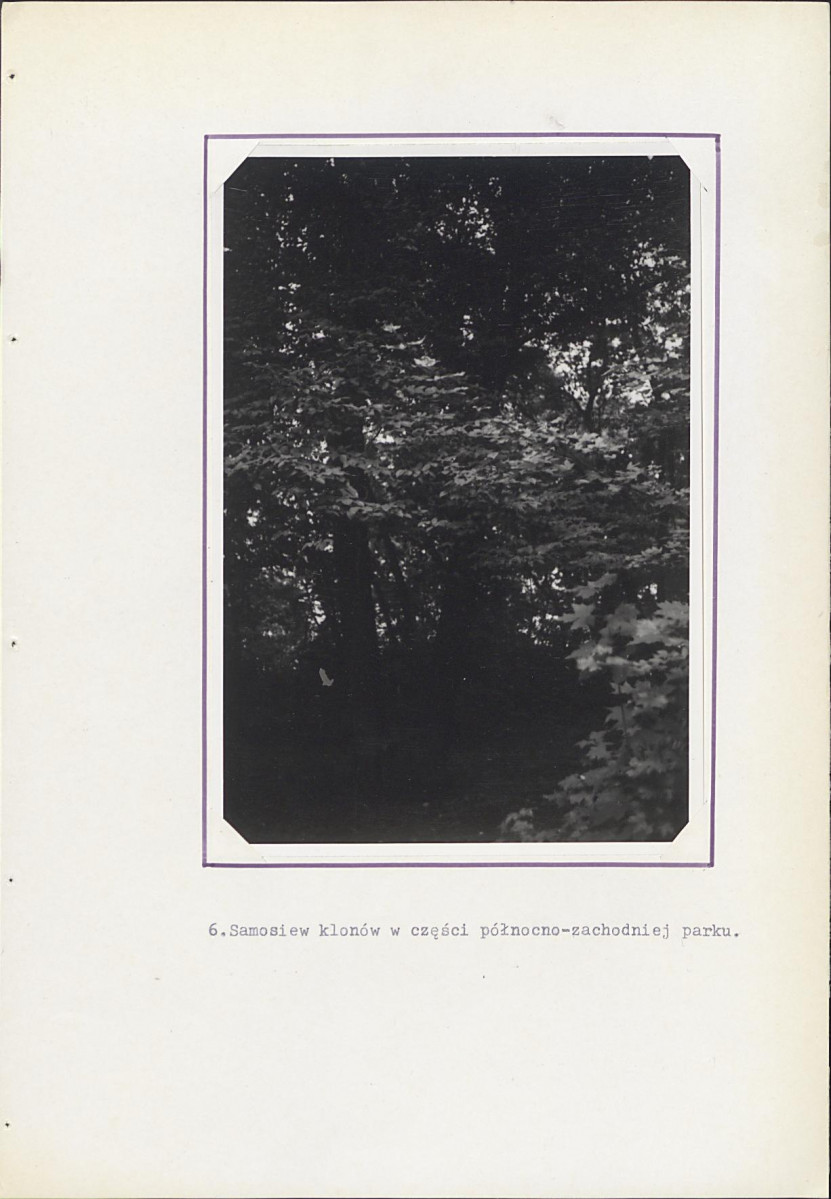 Ewidencja parkowa, skan nr 21