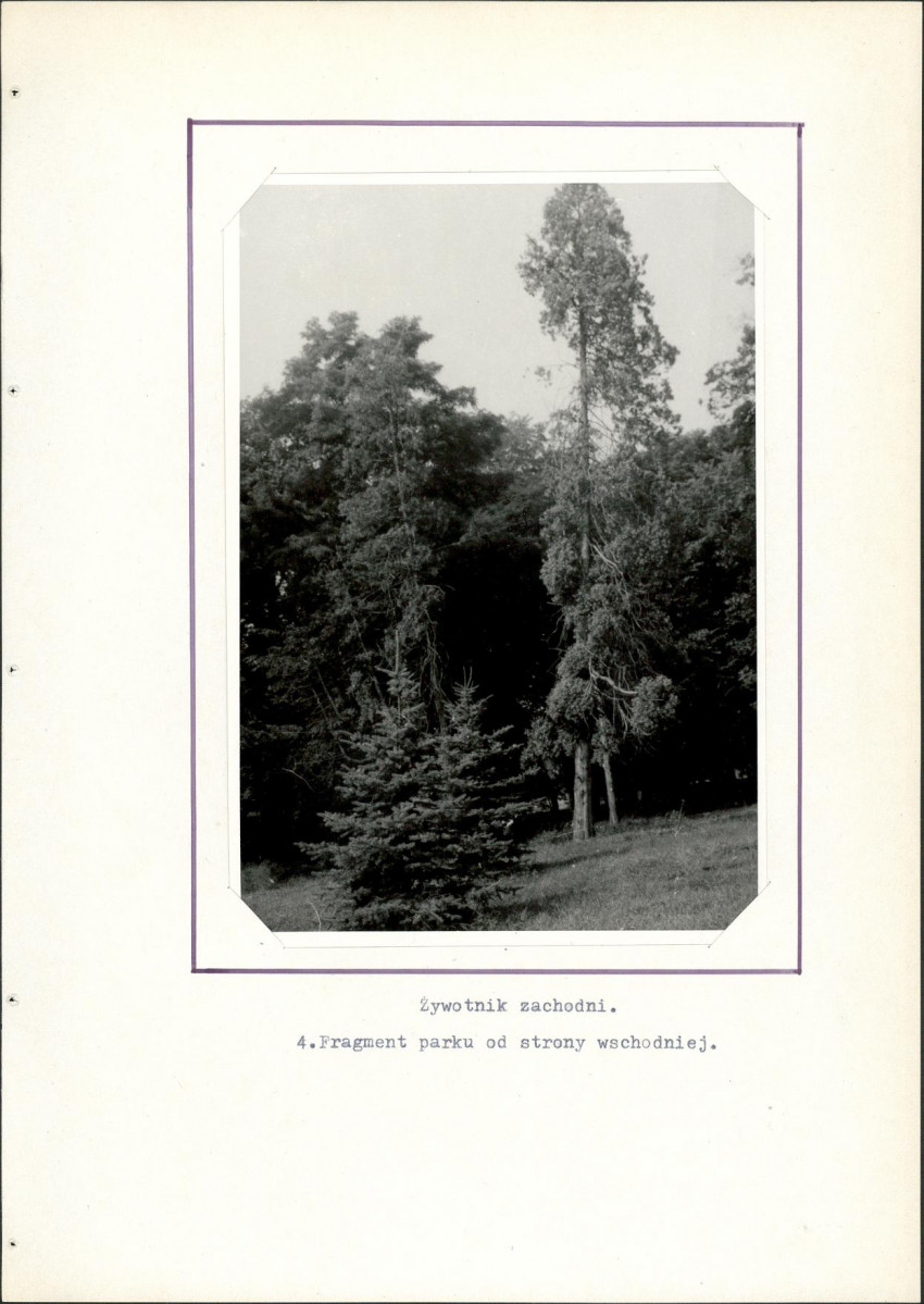 EP - Ewidencja parkowa, skan nr 21
