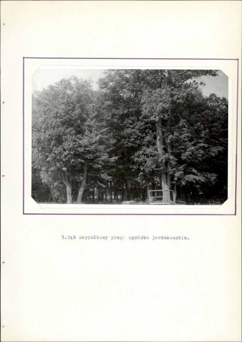 EP - Ewidencja parkowa, skan nr 22