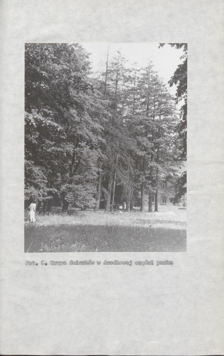 EP - Ewidencja parkowa, skan nr 27