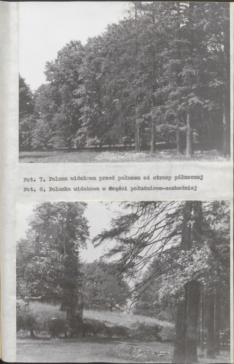 EP - Ewidencja parkowa, skan nr 28