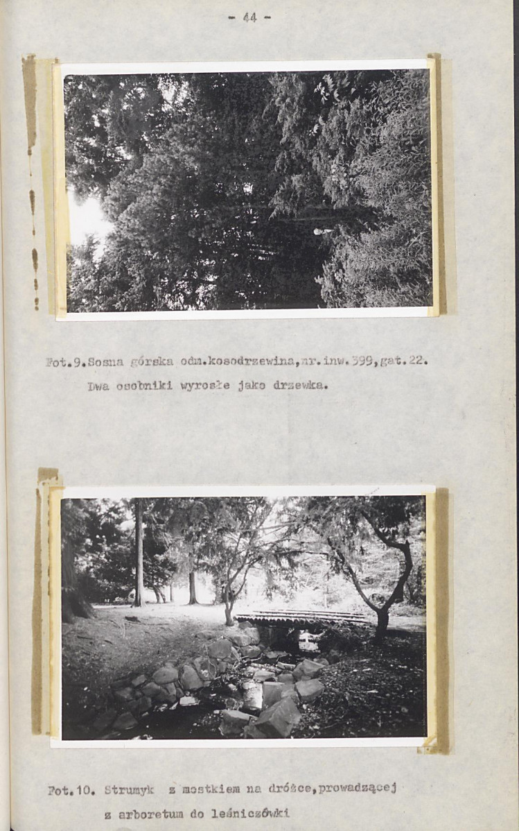 EP - Ewidencja parkowa, skan nr 51