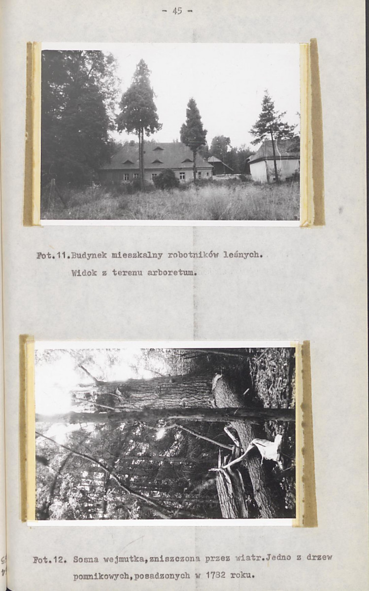EP - Ewidencja parkowa, skan nr 52