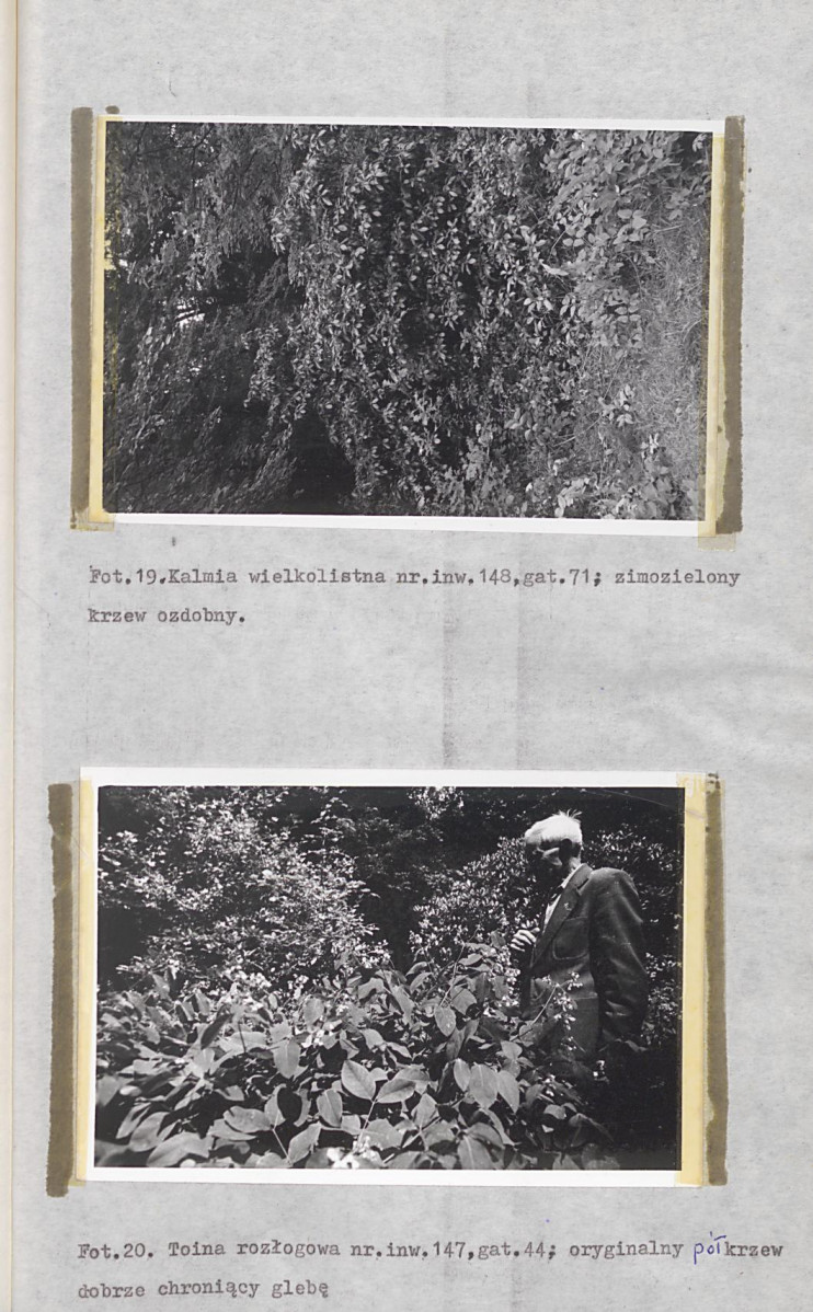 EP - Ewidencja parkowa, skan nr 56