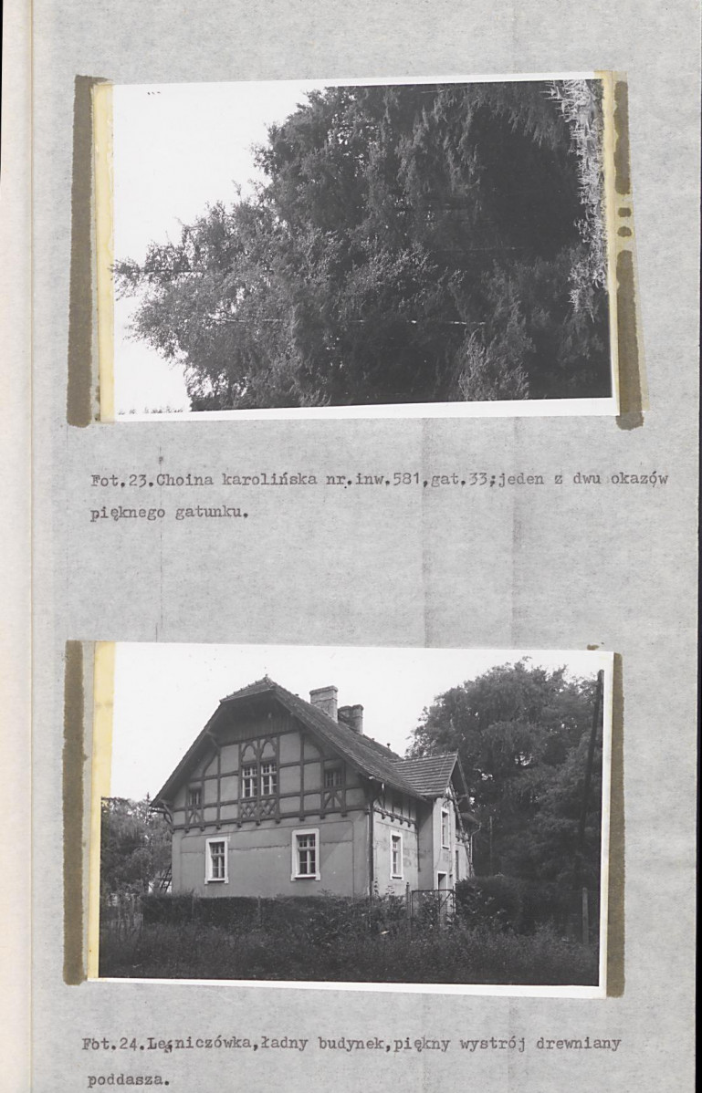 EP - Ewidencja parkowa, skan nr 58