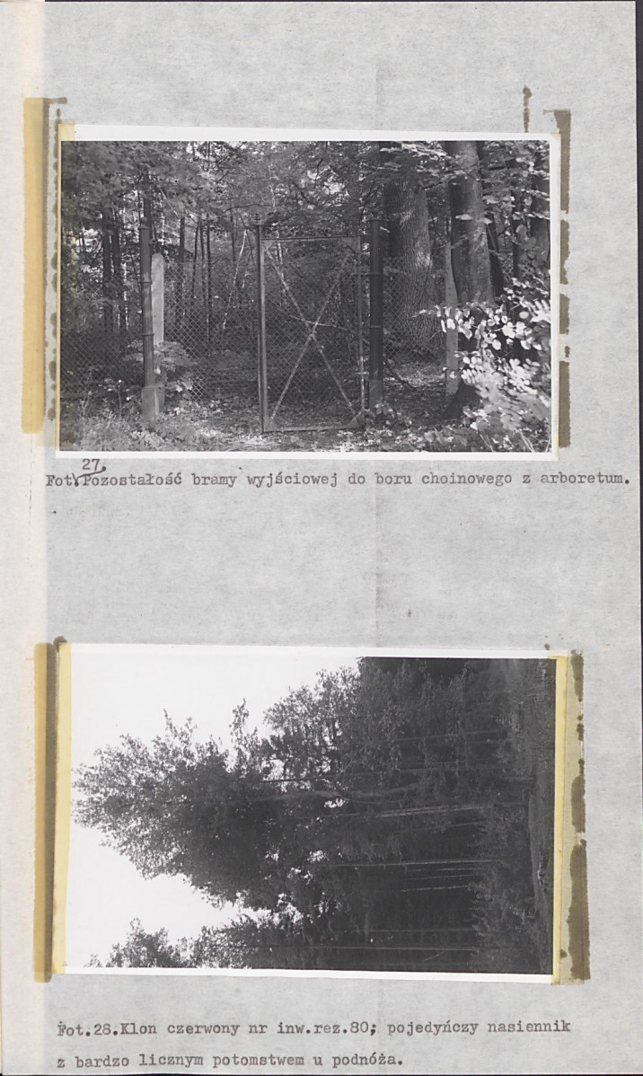 EP - Ewidencja parkowa, skan nr 60