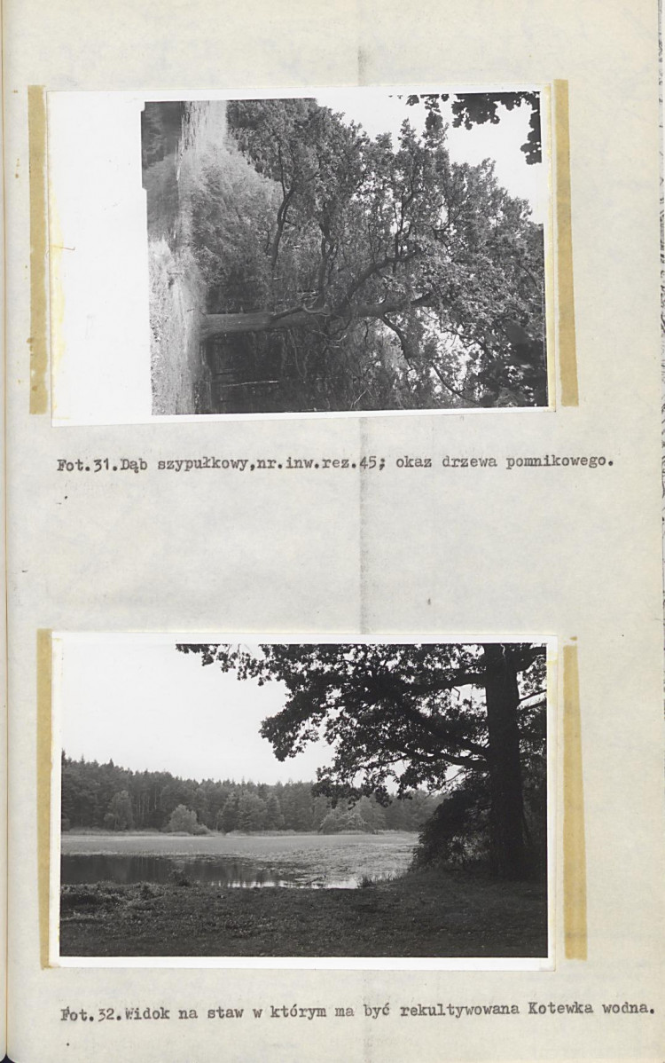 EP - Ewidencja parkowa, skan nr 62