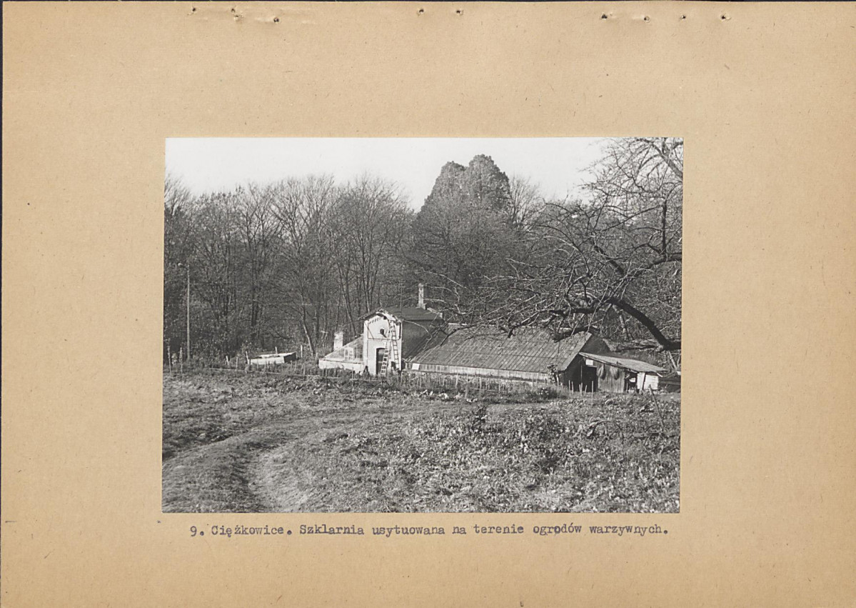 EP - Ewidencja parkowa, skan nr 22