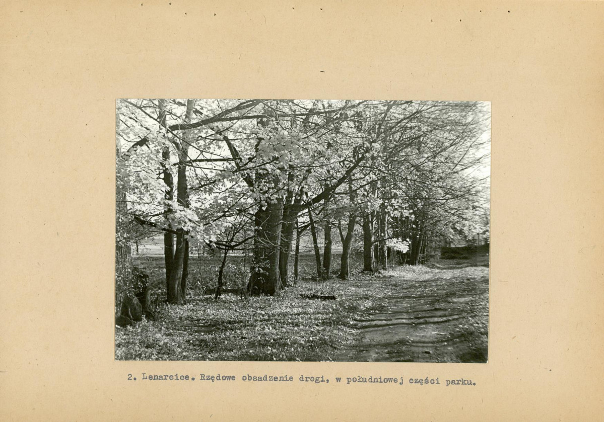 Ewidencja parkowa, skan nr 14