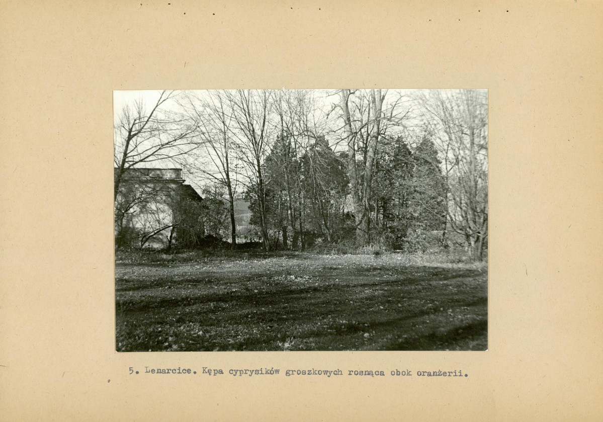 Ewidencja parkowa, skan nr 17