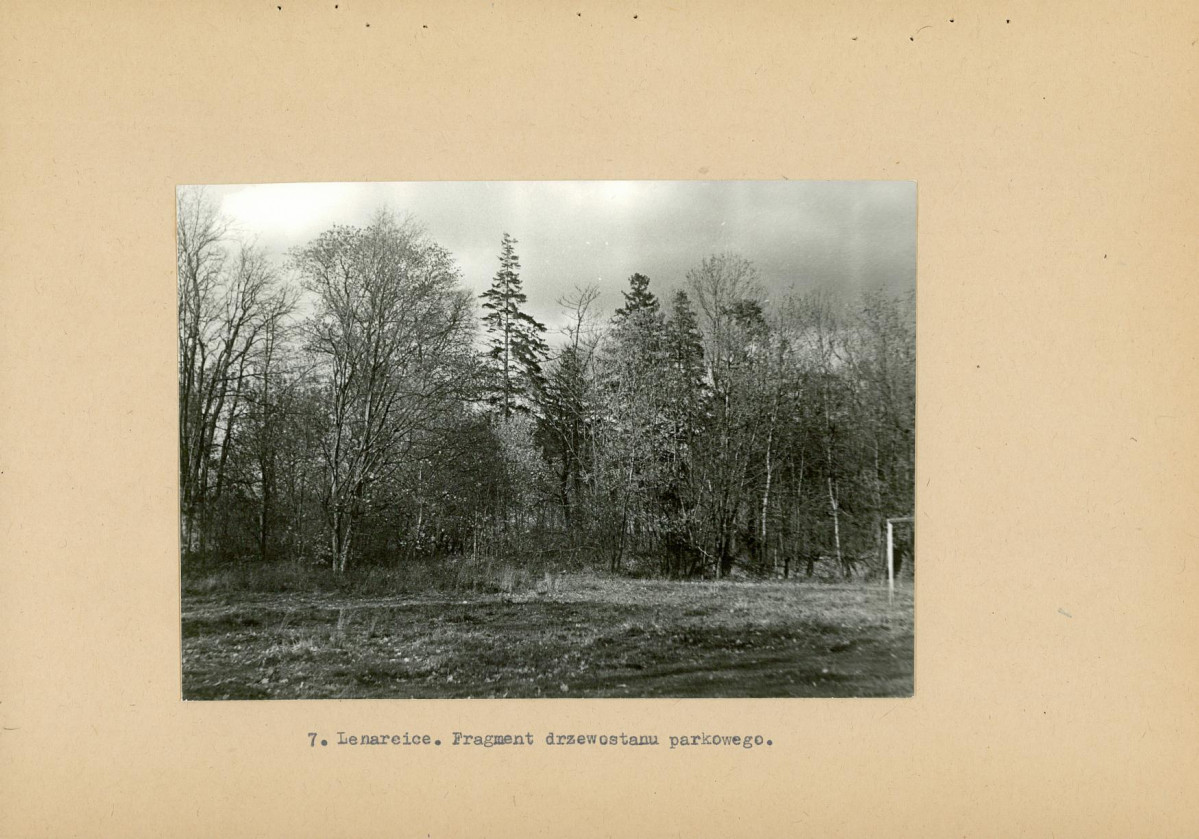 Ewidencja parkowa, skan nr 19