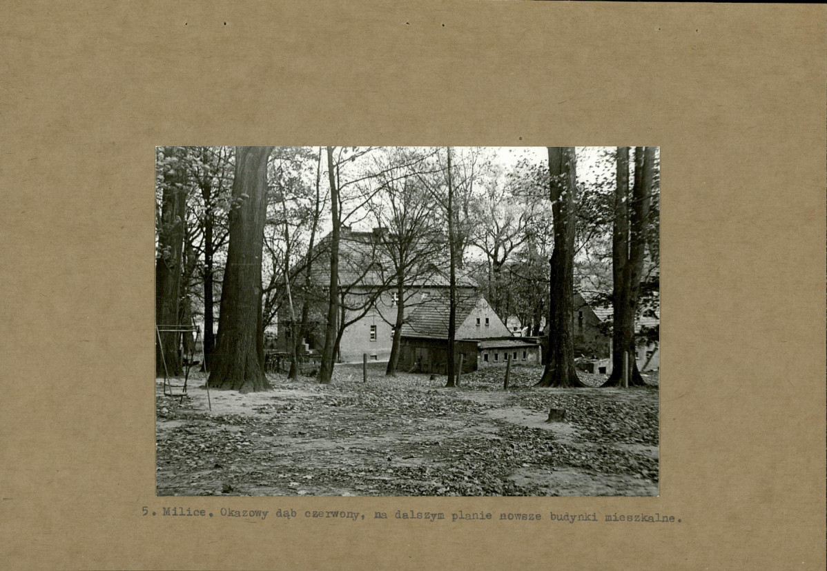 EP - Ewidencja parkowa, skan nr 17