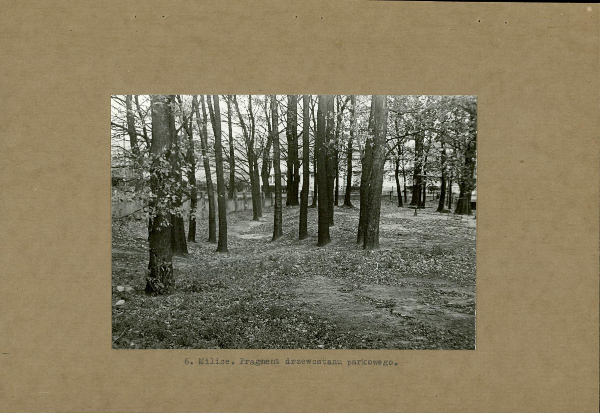 EP - Ewidencja parkowa, skan nr 18