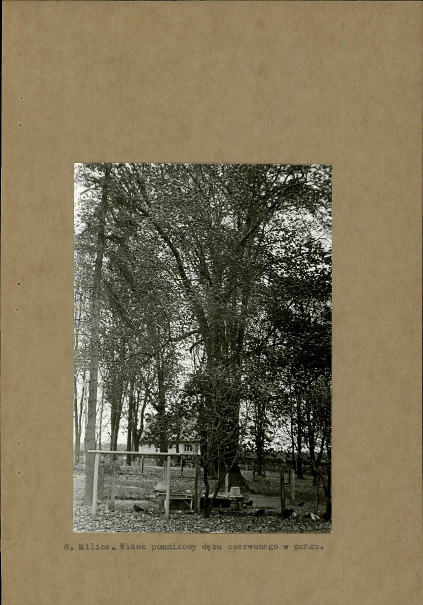 EP - Ewidencja parkowa, skan nr 20