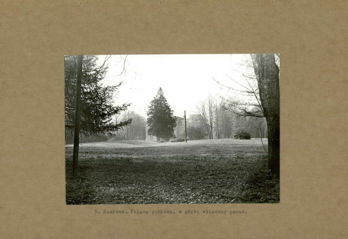 EP - Ewidencja parkowa, skan nr 21