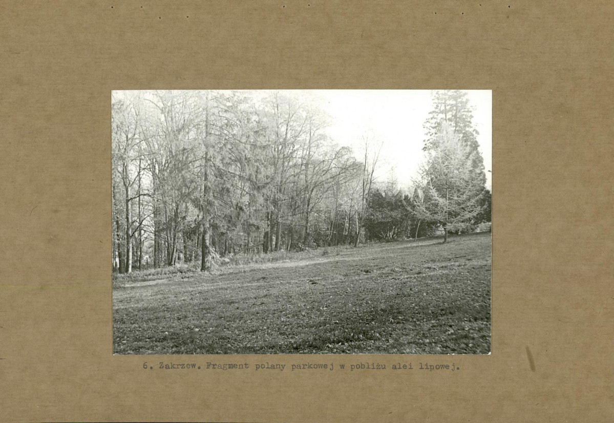 EP - Ewidencja parkowa, skan nr 22