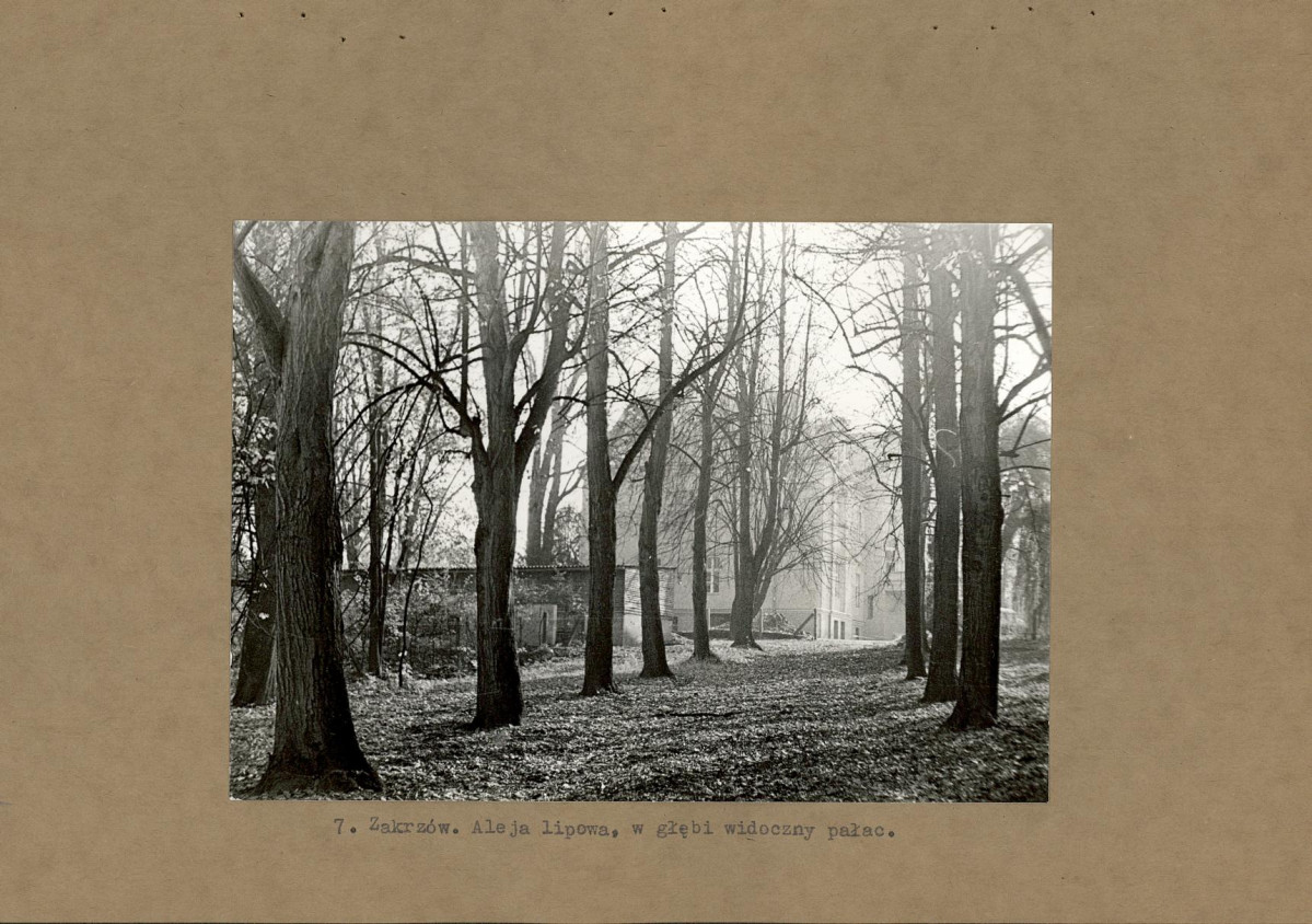 EP - Ewidencja parkowa, skan nr 23