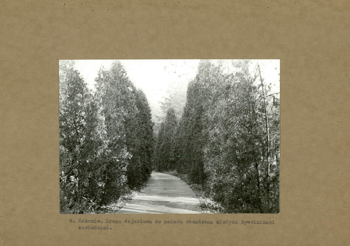 EP - Ewidencja parkowa, skan nr 24