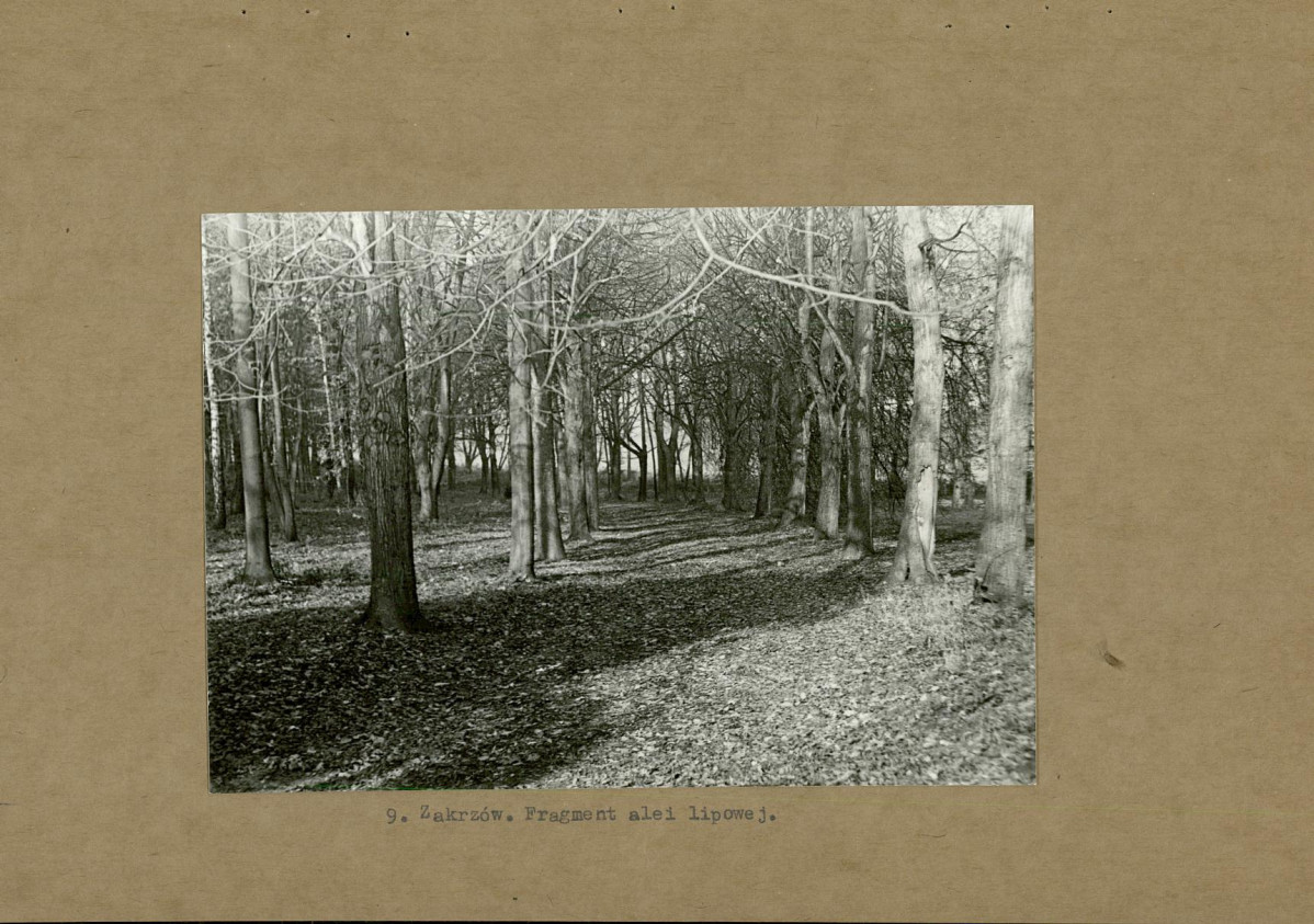 EP - Ewidencja parkowa, skan nr 25