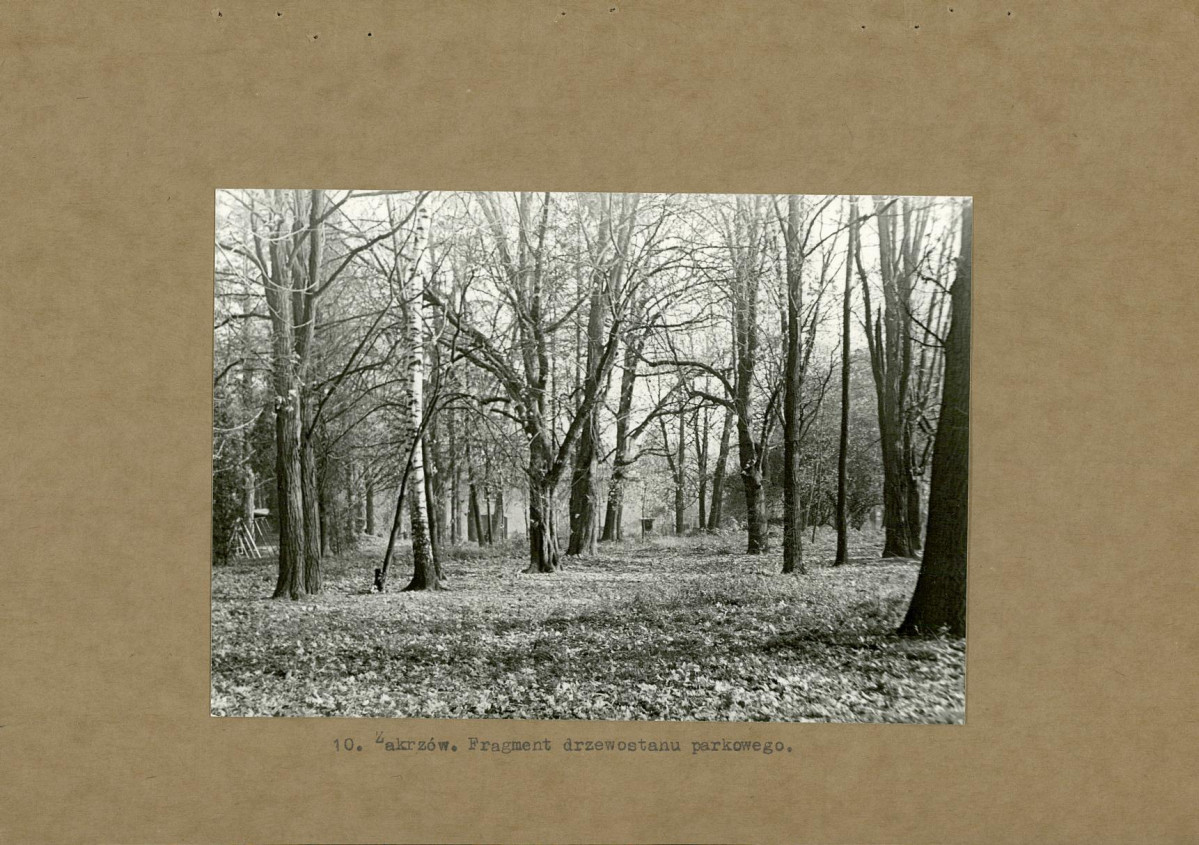 EP - Ewidencja parkowa, skan nr 26