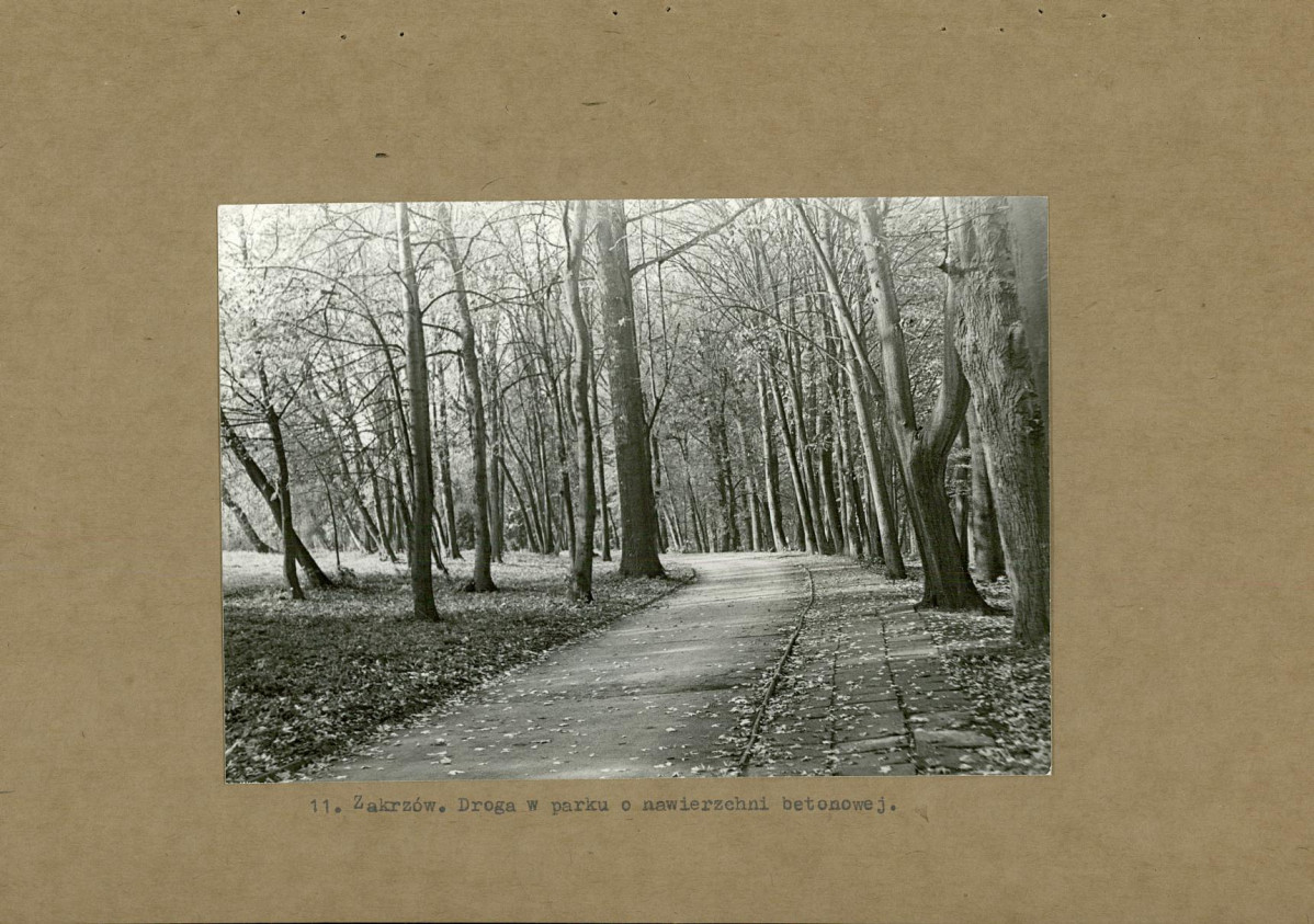 EP - Ewidencja parkowa, skan nr 27