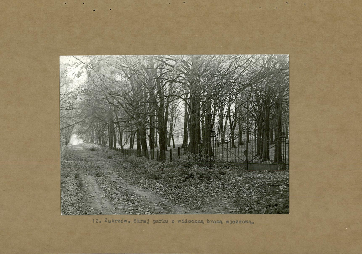 EP - Ewidencja parkowa, skan nr 28