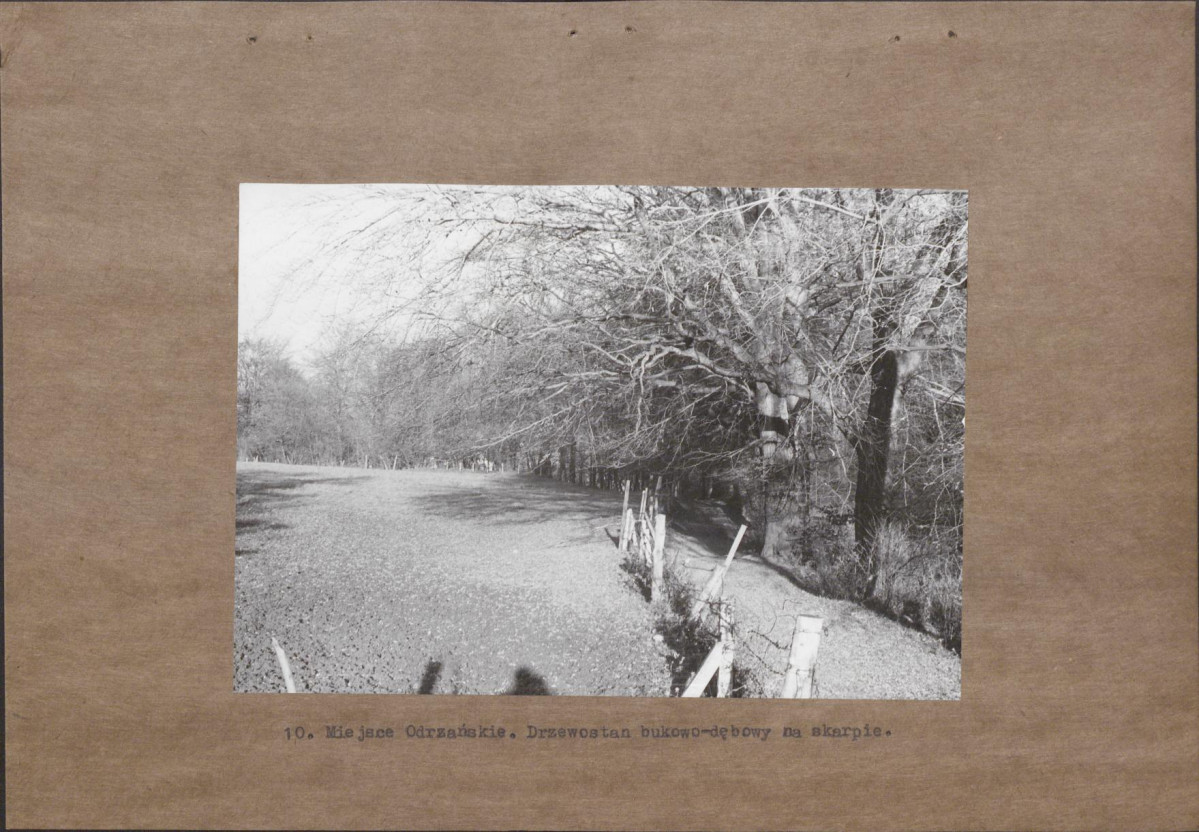 EP - Ewidencja parkowa, skan nr 24