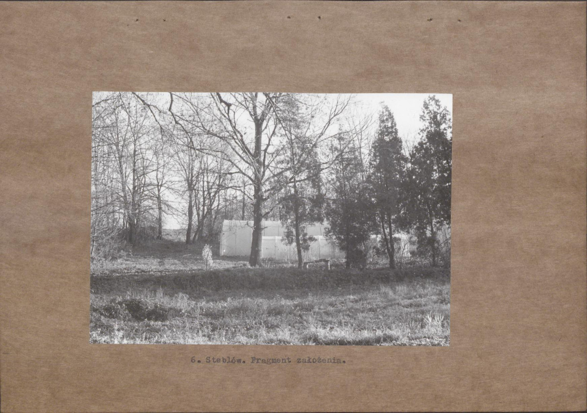 EP - Ewidencja parkowa, skan nr 19