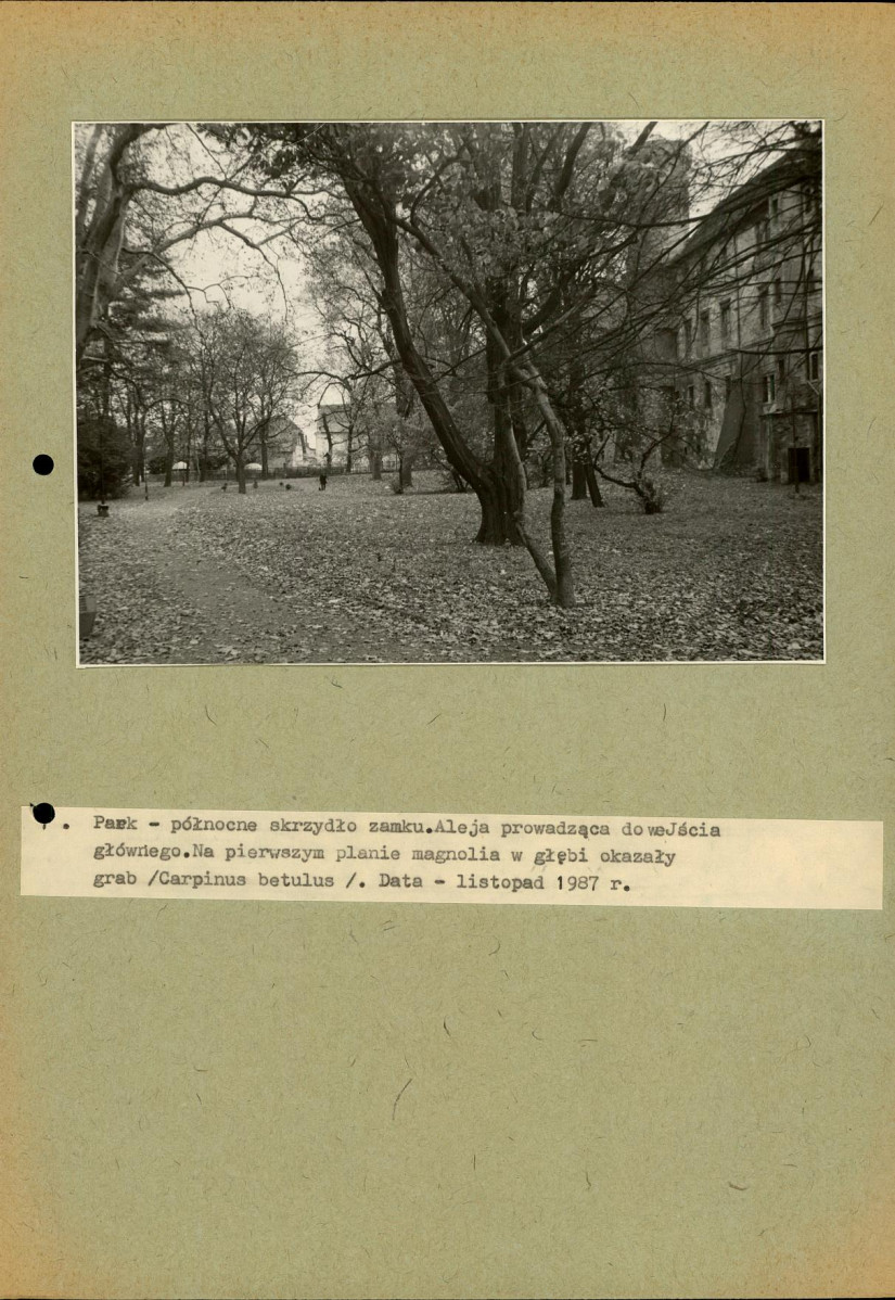 EP - Ewidencja parkowa, skan nr 47
