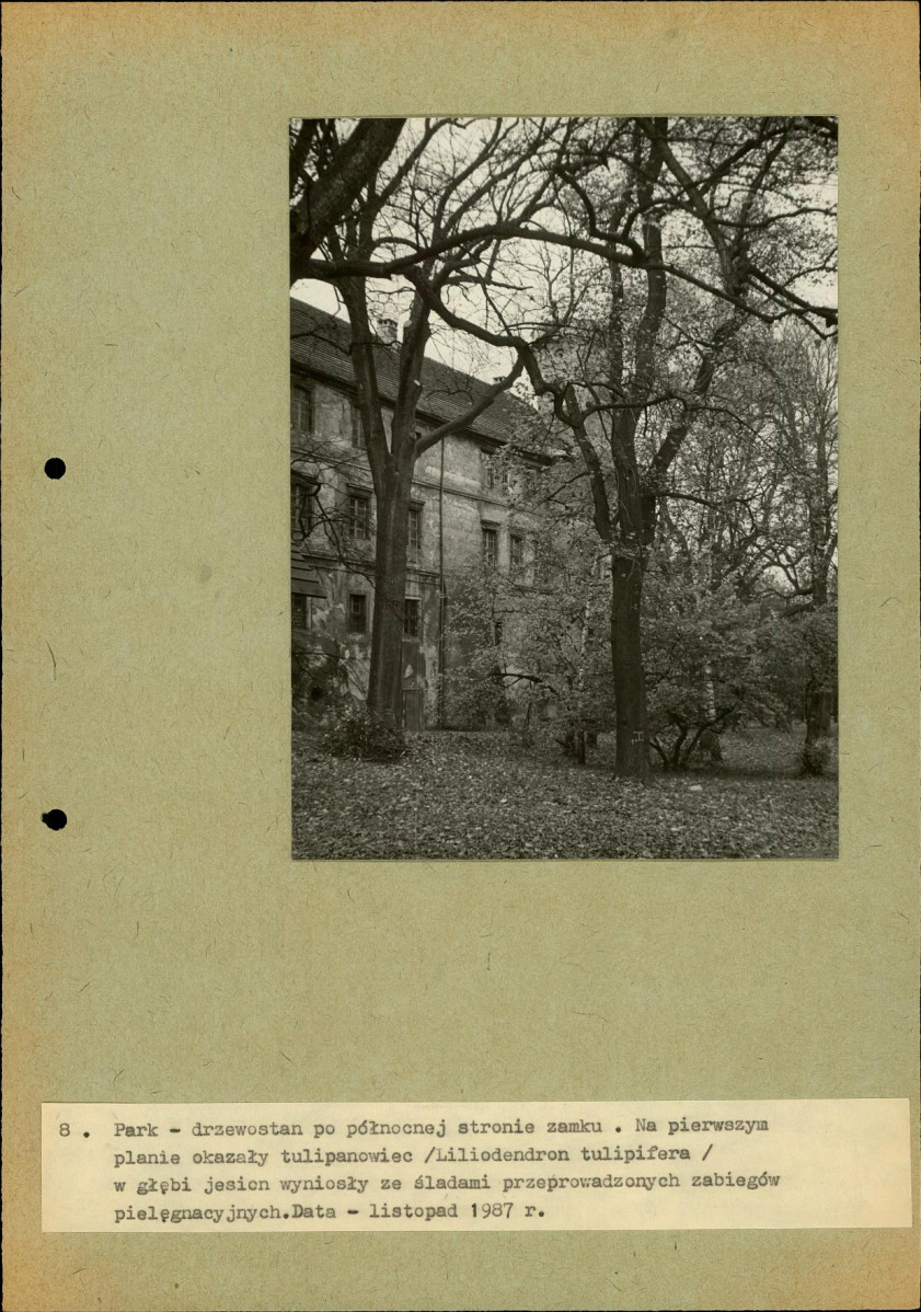 EP - Ewidencja parkowa, skan nr 48