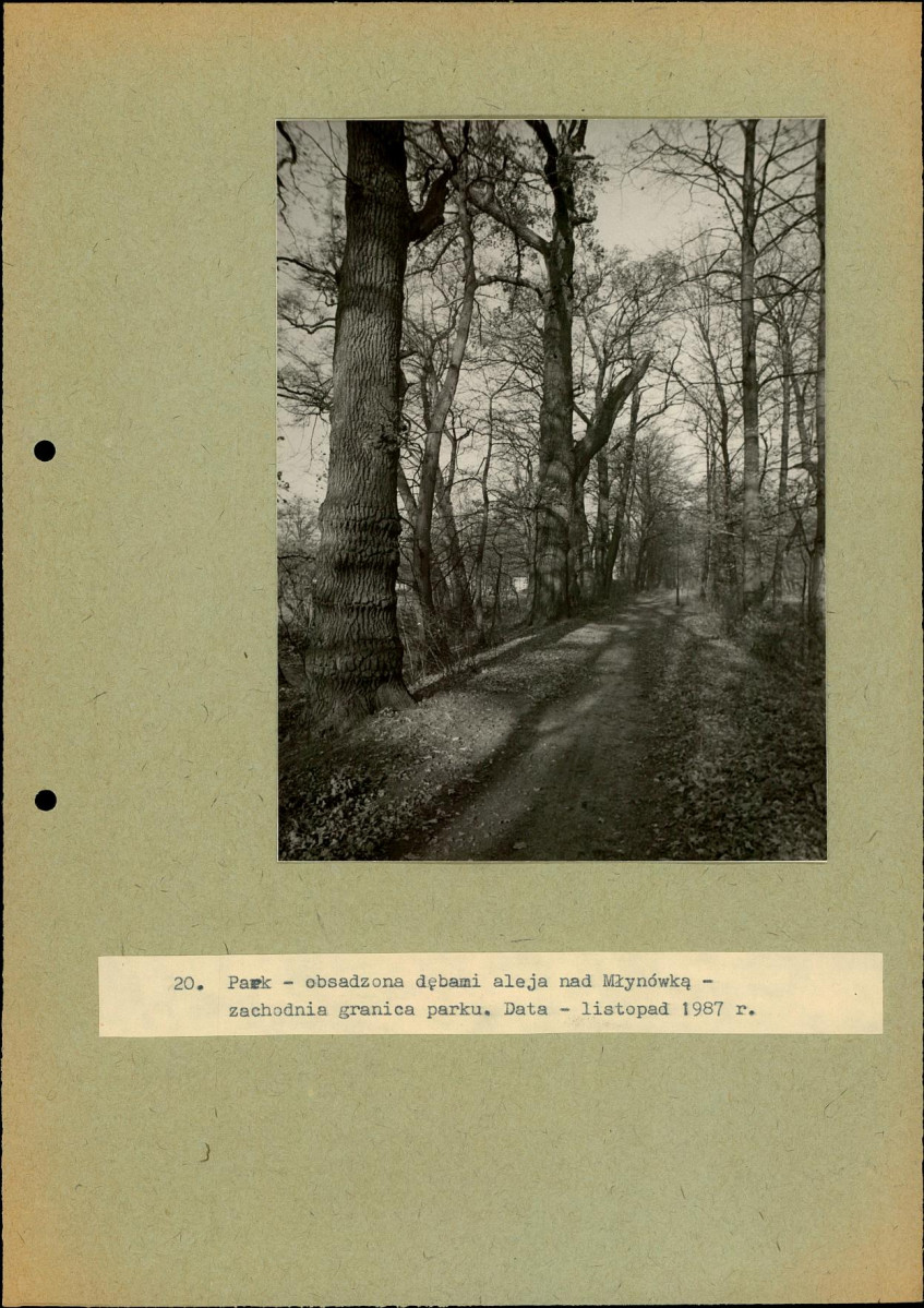 EP - Ewidencja parkowa, skan nr 60