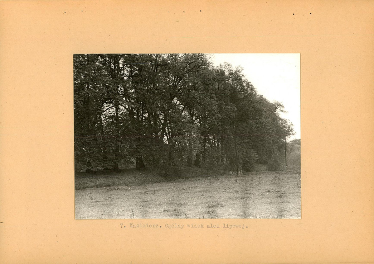 EP - Ewidencja parkowa, skan nr 23