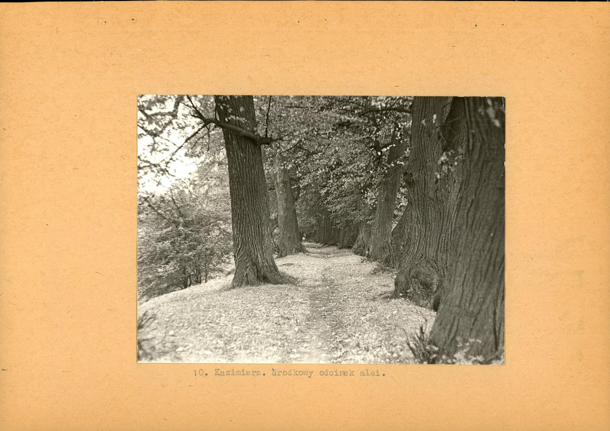 EP - Ewidencja parkowa, skan nr 26