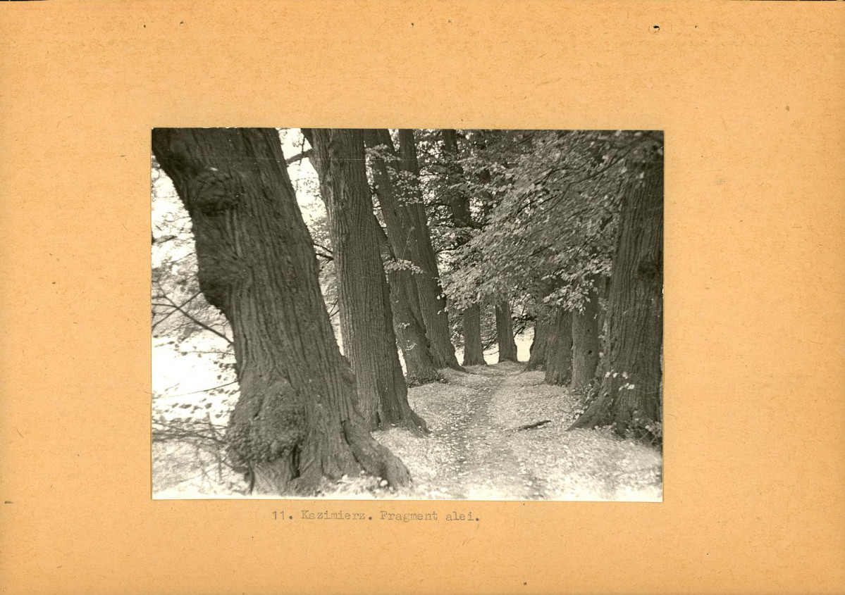 EP - Ewidencja parkowa, skan nr 27