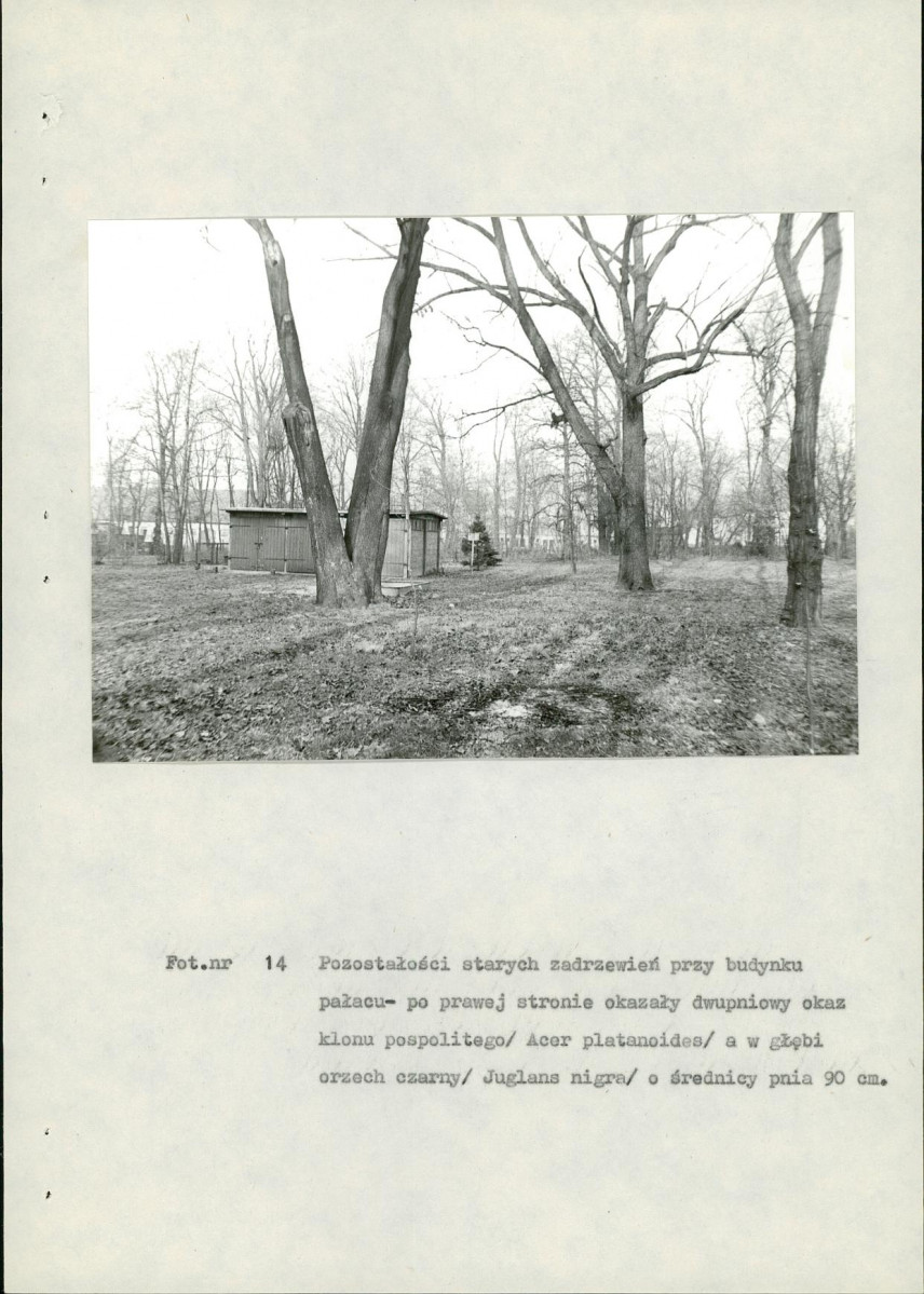 Ewidencja parkowa, skan nr 56