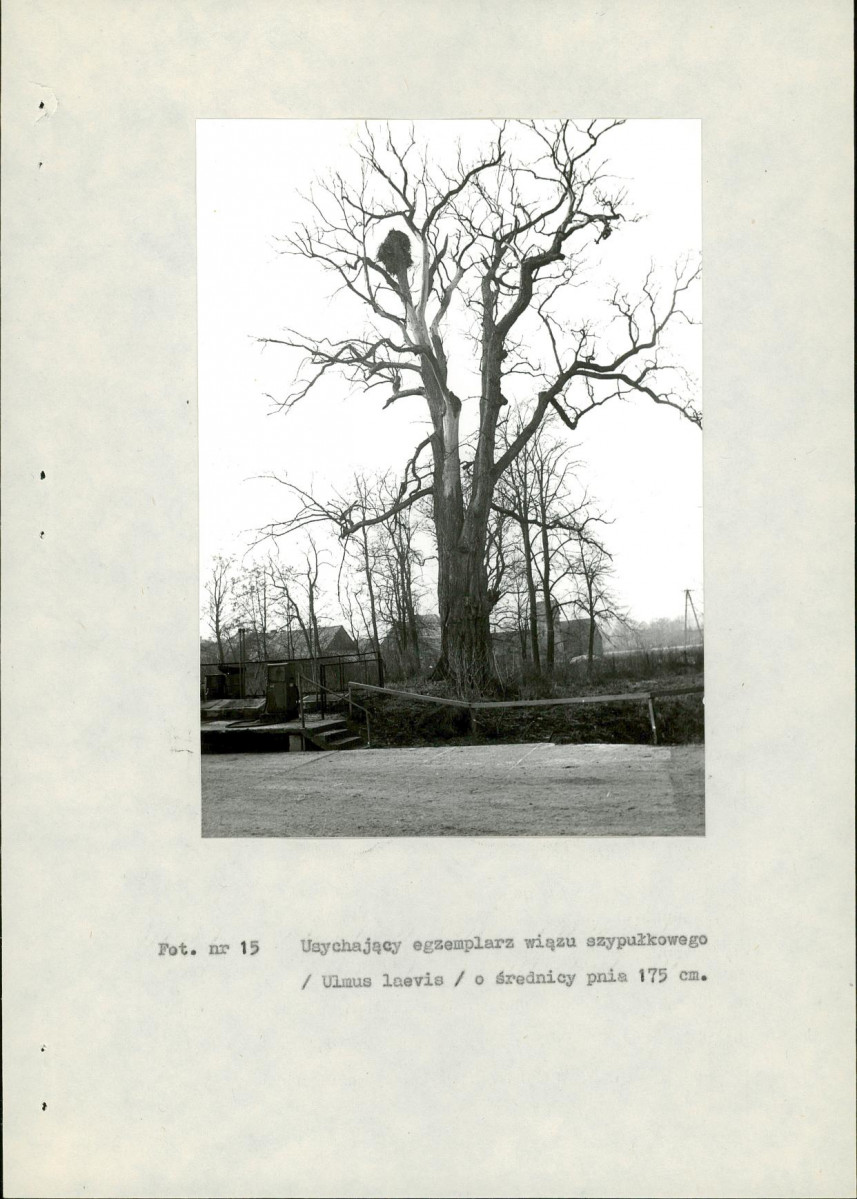 Ewidencja parkowa, skan nr 57